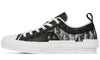 Dior B23 Low 'Dior Oblique - Charcoal'