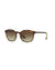 Vogue Women Sunglasses Dark brown -- --