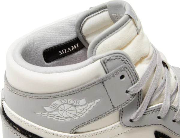 Dior x Air Jordan 1 High OG "Wolf Grey Sail Photon Dust White" Sneakers for Men