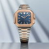 Patek Philippe Cubitus New