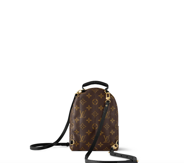 Palm Springs Mini Monogram - Women - Handbags Palm Springs Mini