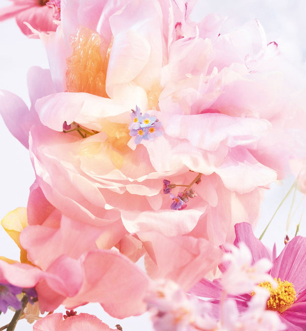 MISS DIOR BLOOMING BOUQUET