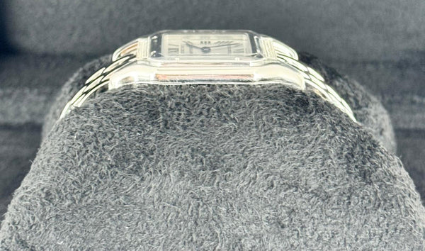 PanthÃ¨re 27 mm Medium New Full Set