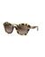 Miu Miu Women Sunglasses Dark brown -- --