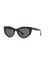 Valentino Women Sunglasses Brown 53 mm