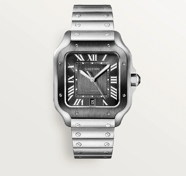 Santos de Cartier Large Model Steel DLC Dual-Strap