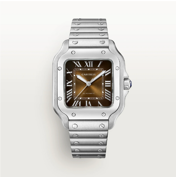 Santos de Cartier Medium Brown Dial Steel Watch
